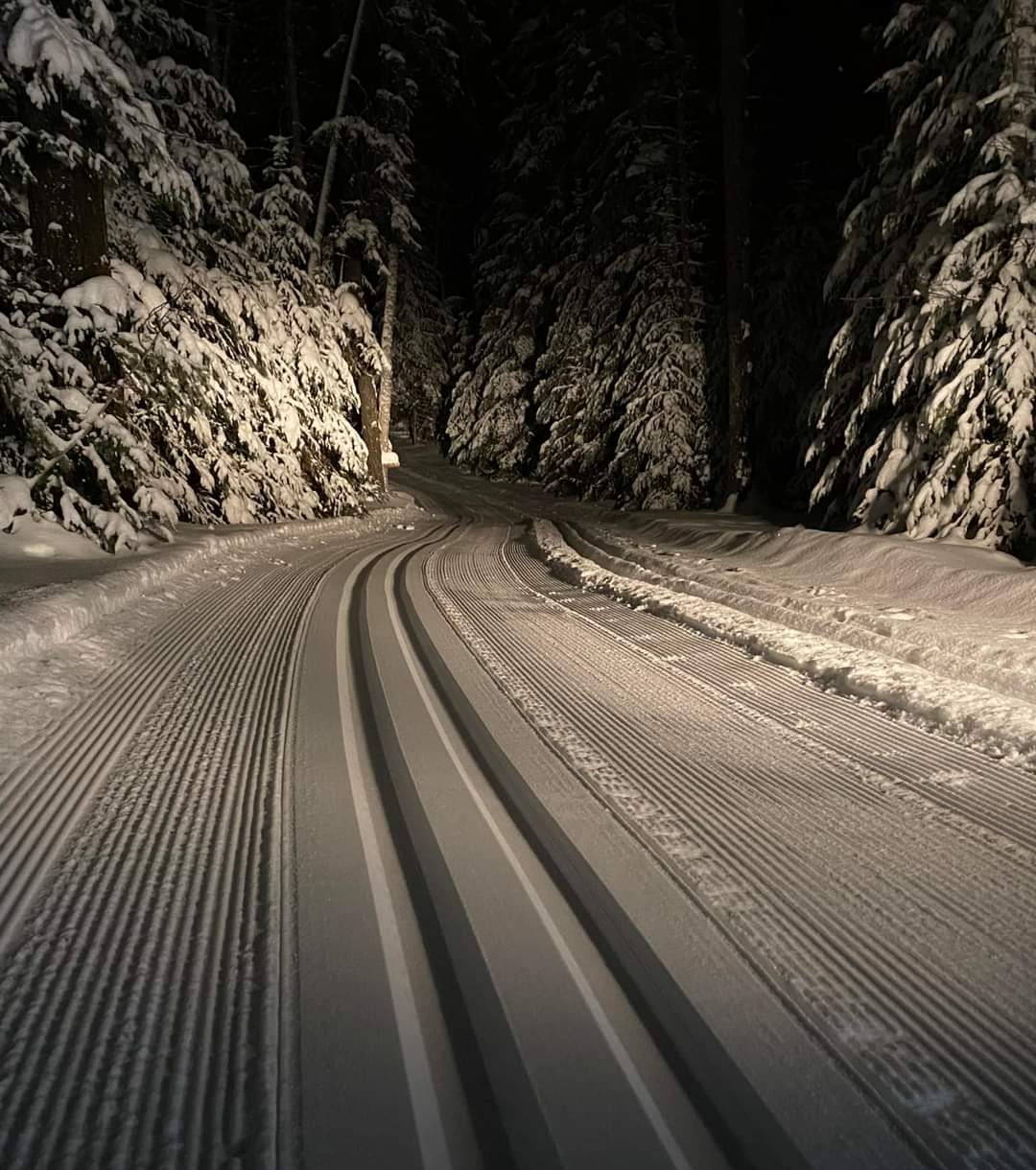 Friends of Cedar Bay